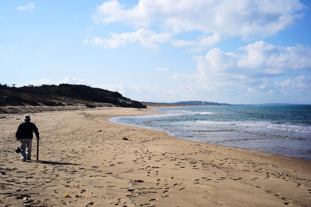 L1017159.jpg