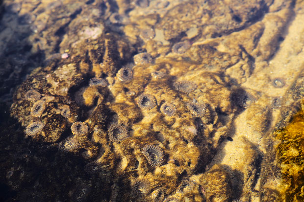 L1017360.jpg