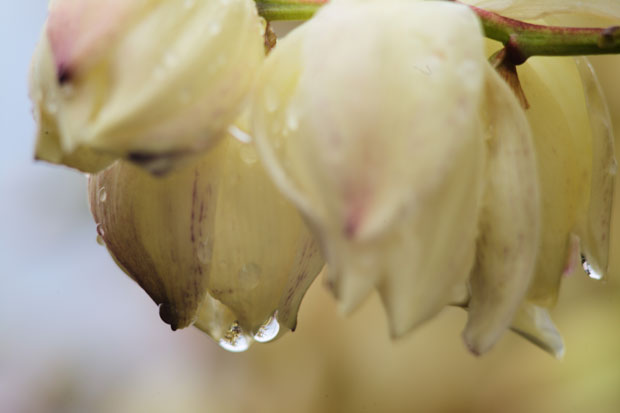 L1017670.jpg