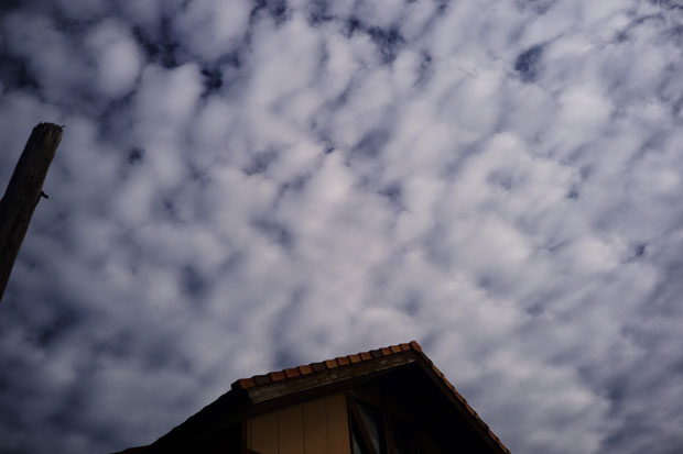 L1017722.jpg