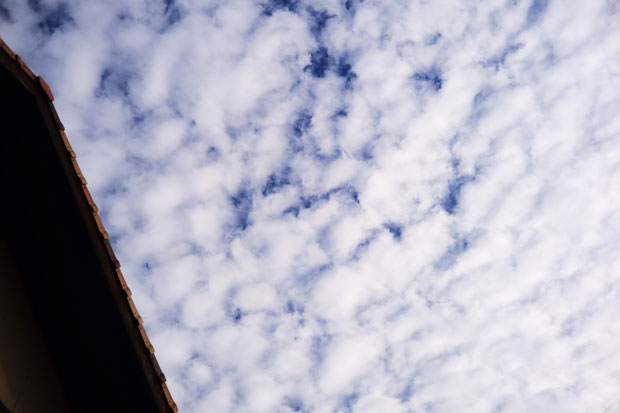 L1017728.jpg