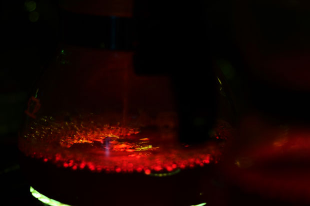 L1017839.jpg