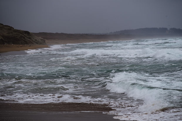 L1018649.jpg