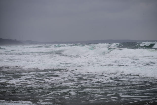 L1018652.jpg