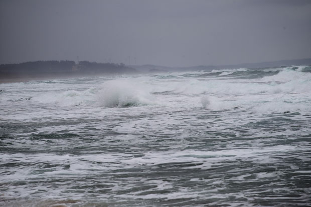 L1018658.jpg