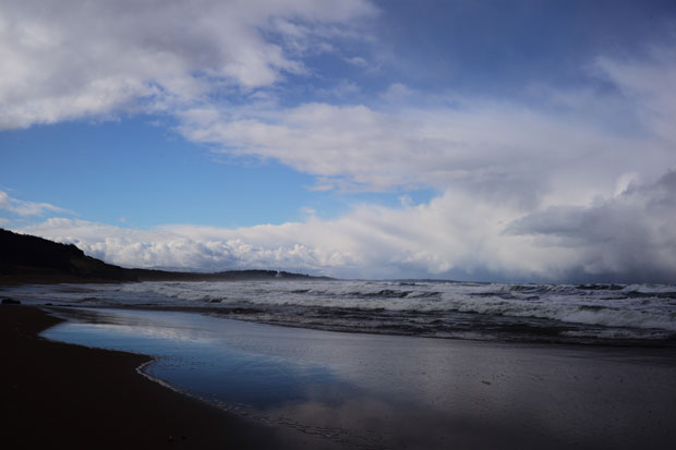 L1019019.jpg