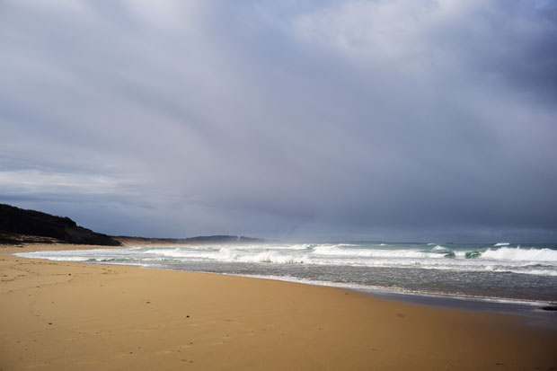 L1019254.jpg