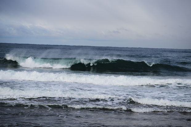 L1019267.jpg