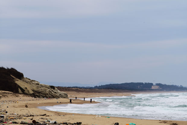 L1019440.jpg
