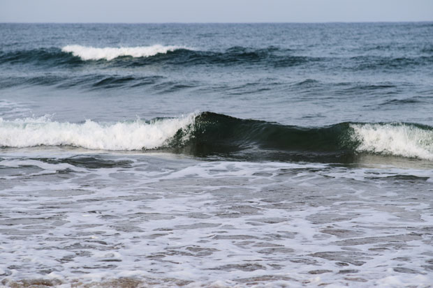 L1019754.jpg