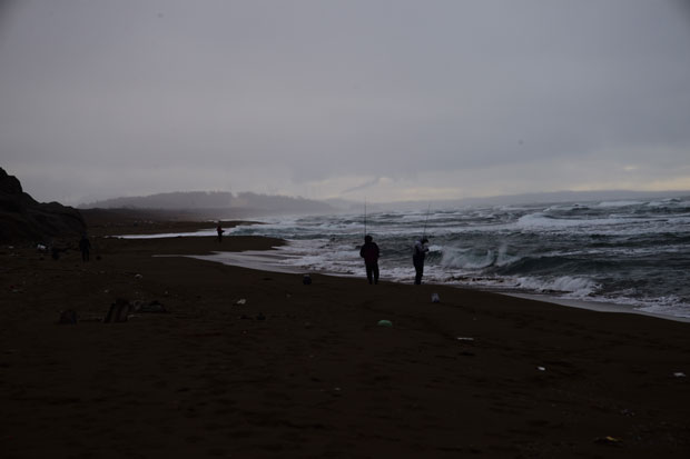 L1020341.jpg
