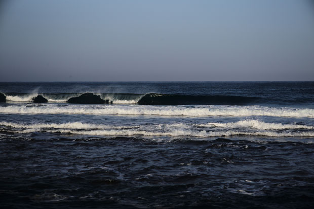 L1021134.jpg