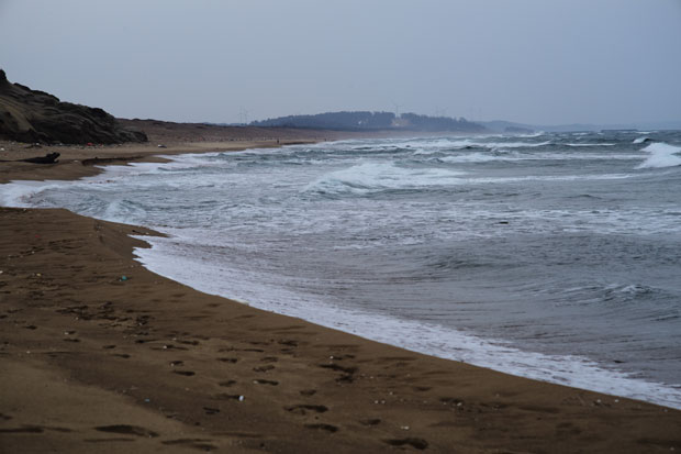 L1021693.jpg