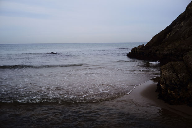 L1021848.jpg