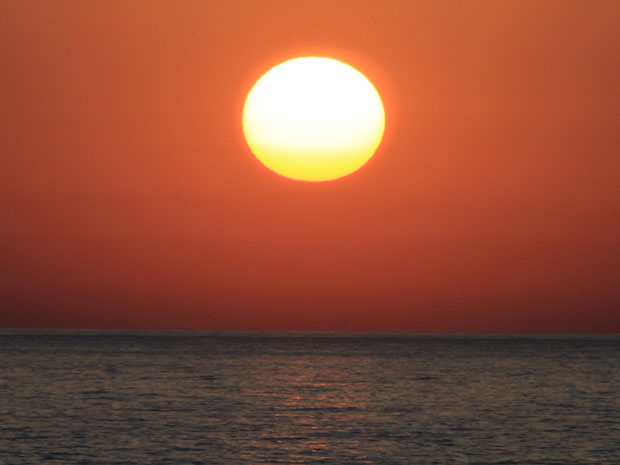 LIMG_4711.jpg