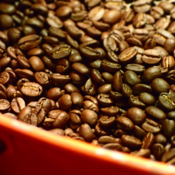 coffee beans 05.jpg
