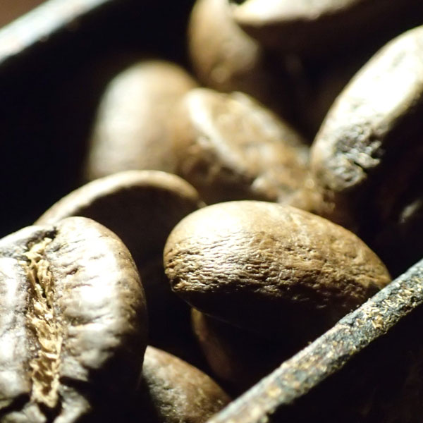 coffee beans 04.jpg