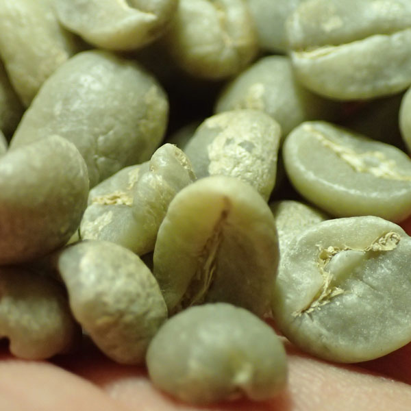 coffee beans01.jpg