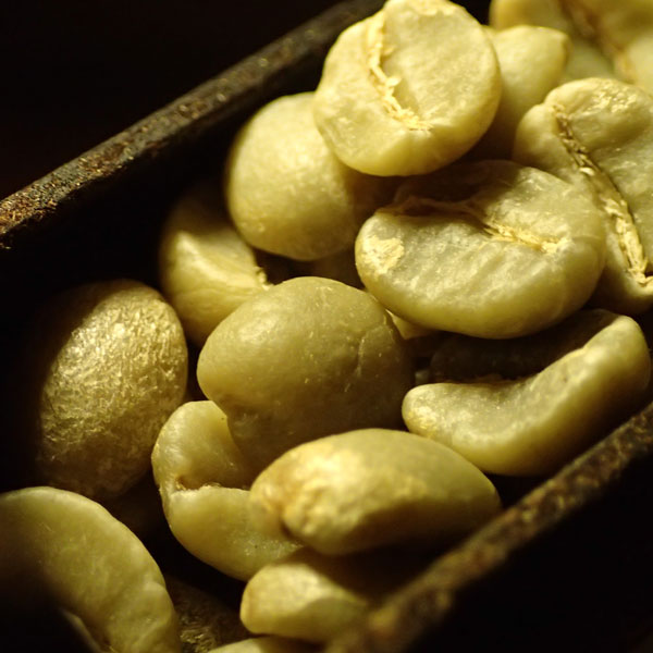 coffee beans02.jpg