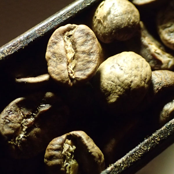 coffee beans 03.jpg