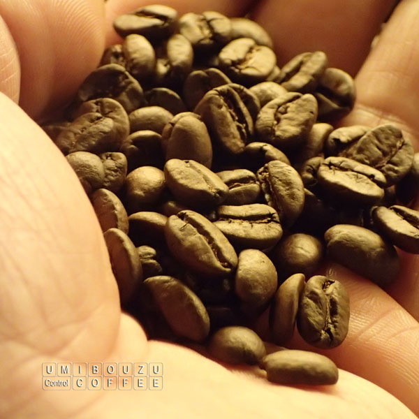 うみぼうずROAST COFFEE