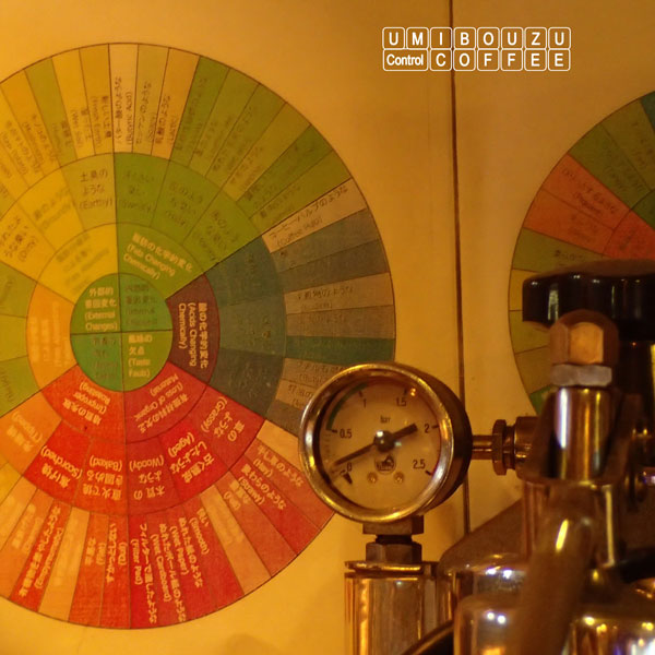 coffee taster's flavor wheel
